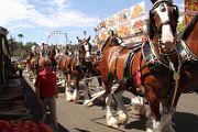 LA County Fair, September 7, 2014