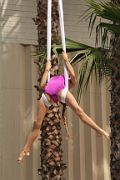 IMG_0714 