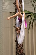 IMG_0767 