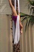 IMG_0768 