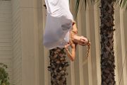 IMG_0782 