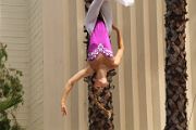 IMG_0785 