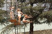 IMG_1535 