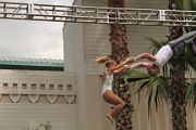 IMG_1818 