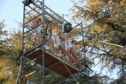 IMG_0300 