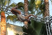 IMG_0309 