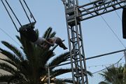 IMG_0609 