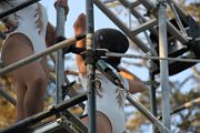 IMG_0639 