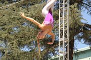 IMG_0100 