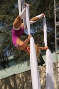 IMG_0391 