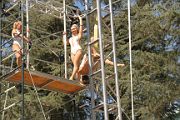 IMG_0810 