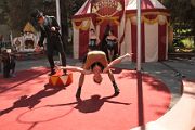 IMG_1141 
