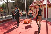 IMG_1146 