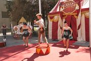 IMG_1194 