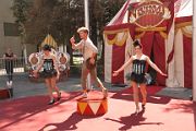 IMG_1195 