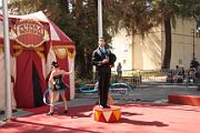 IMG_1239 