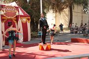 IMG_1241 