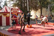 IMG_1247 