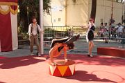 IMG_2195 