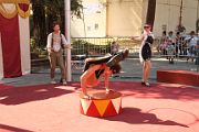 IMG_2196 