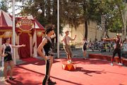IMG_2212 