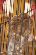 IMG_0079 