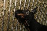 IMG_0170 