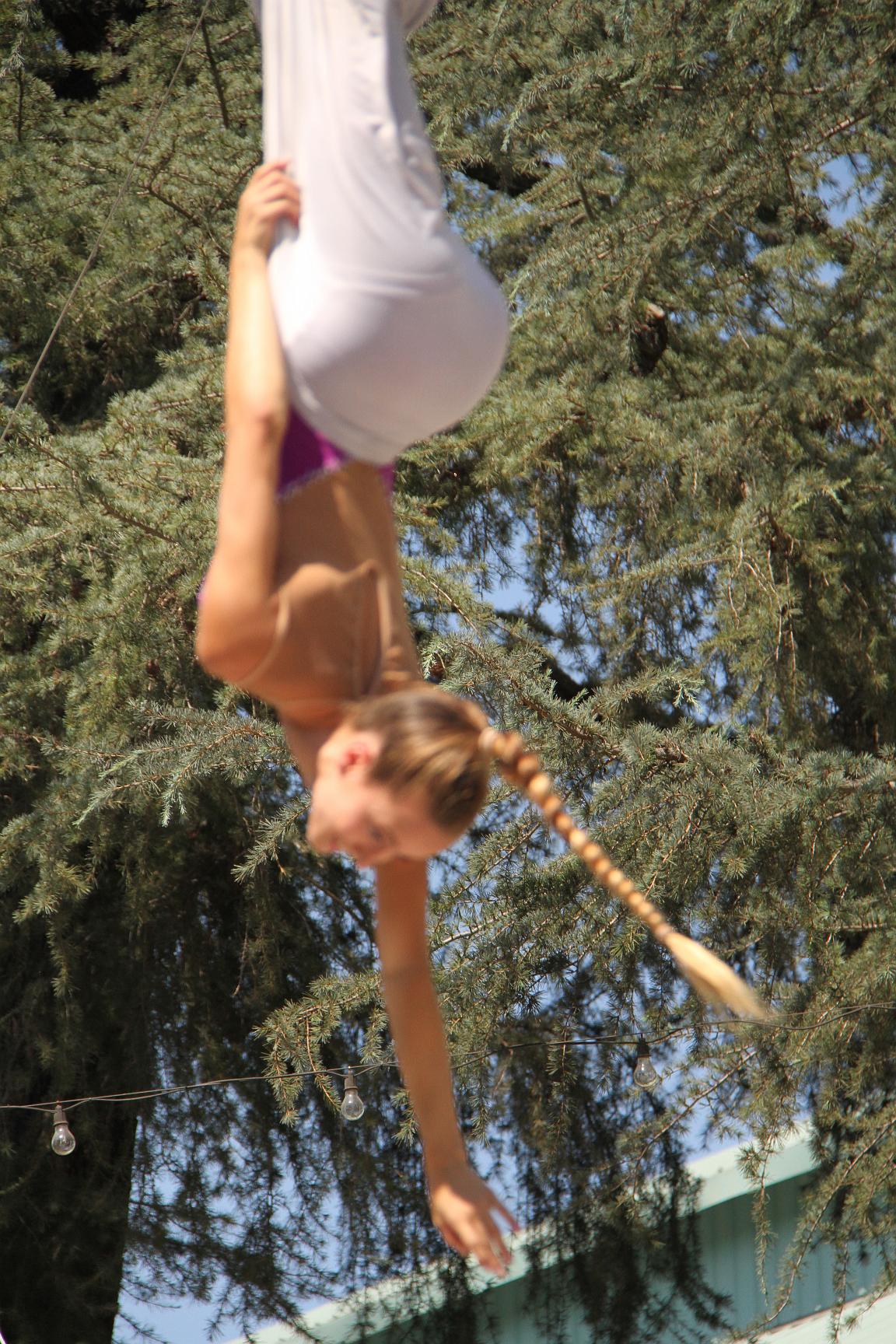 IMG_1256
