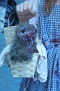 IMG_0271 