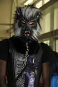 IMG_0494 
