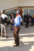 IMG_0533 