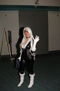 IMG_1500 