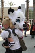 IMG_0812 