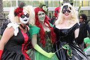 IMG_0955 