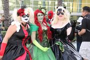 IMG_0958 