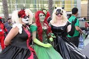IMG_0963 
