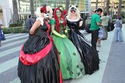 IMG_0964 