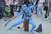 IMG_0987 