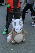 IMG_1146 