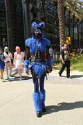 IMG_4411 