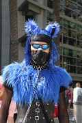 IMG_4412 
