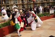 IMG_0219 