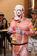 IMG_0564 