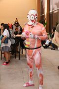 IMG_0567 