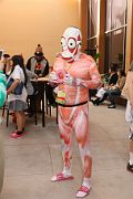 IMG_0568 