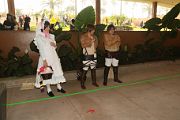 IMG_0586 