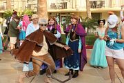 IMG_0908 