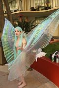 IMG_1154 
