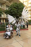 IMG_1277 
