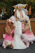 IMG_1446 